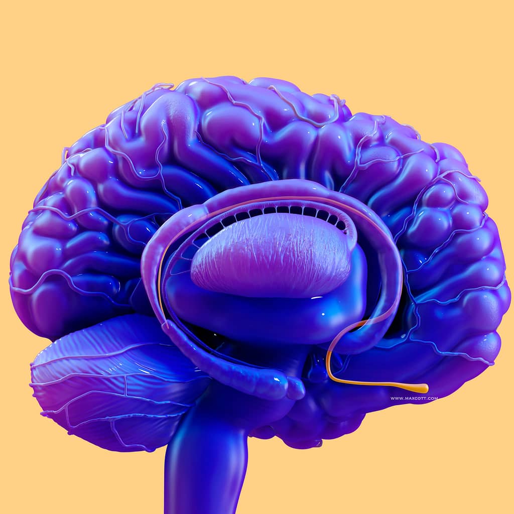 the olfactory system